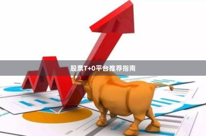 股票T+0平台推荐指南