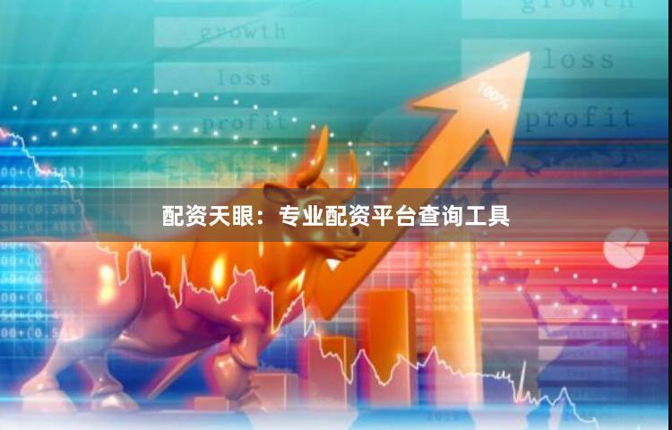 配资天眼：专业配资平台查询工具